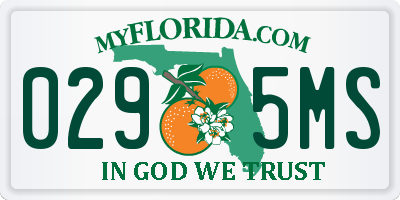 FL license plate 0295MS