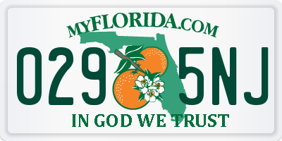 FL license plate 0295NJ