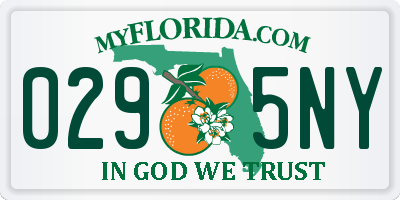 FL license plate 0295NY
