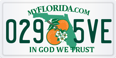 FL license plate 0295VE