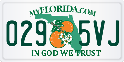 FL license plate 0295VJ