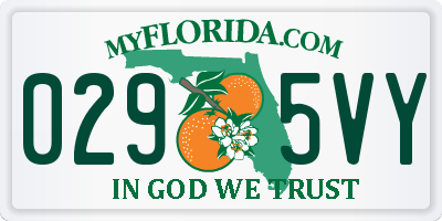 FL license plate 0295VY