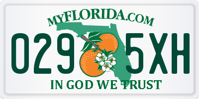 FL license plate 0295XH