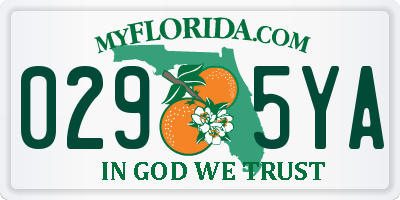 FL license plate 0295YA