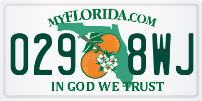 FL license plate 0298WJ