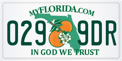 FL license plate 0299DR