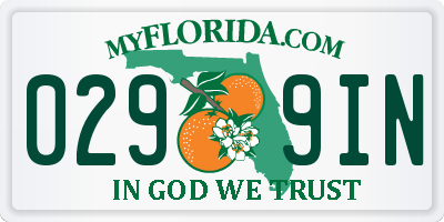 FL license plate 0299IN