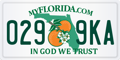 FL license plate 0299KA