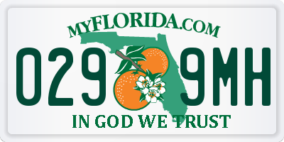 FL license plate 0299MH