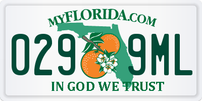 FL license plate 0299ML