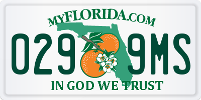 FL license plate 0299MS