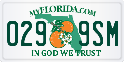 FL license plate 0299SM