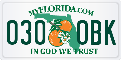 FL license plate 0300BK