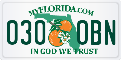 FL license plate 0300BN