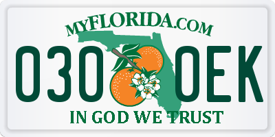 FL license plate 0300EK