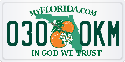 FL license plate 0300KM