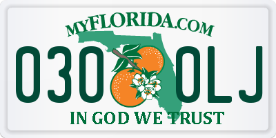 FL license plate 0300LJ