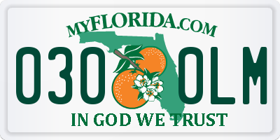FL license plate 0300LM
