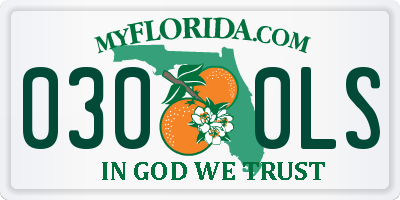 FL license plate 0300LS