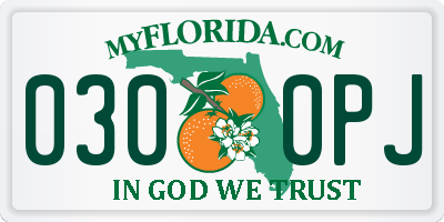 FL license plate 0300PJ