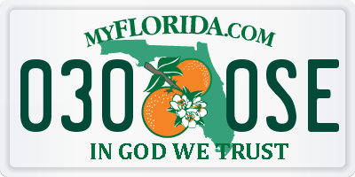 FL license plate 0300SE