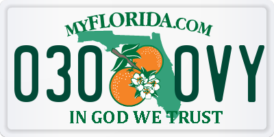 FL license plate 0300VY