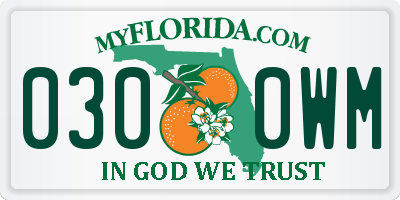 FL license plate 0300WM