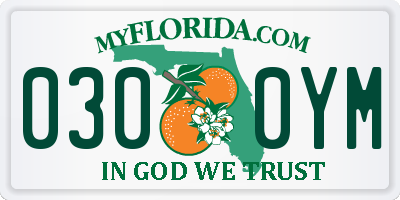 FL license plate 0300YM