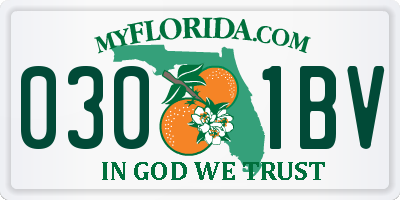 FL license plate 0301BV