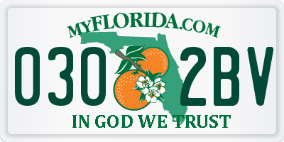FL license plate 0302BV