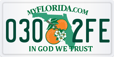 FL license plate 0302FE