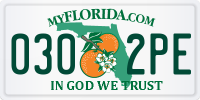 FL license plate 0302PE