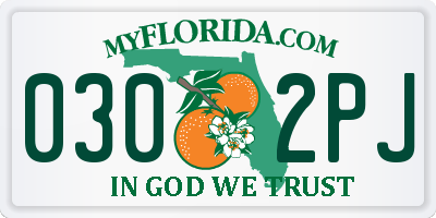 FL license plate 0302PJ