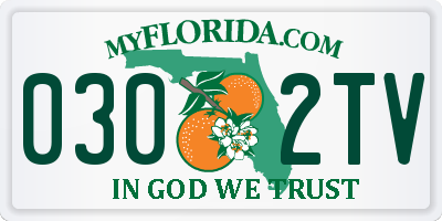 FL license plate 0302TV