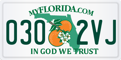 FL license plate 0302VJ