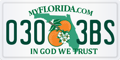 FL license plate 0303BS