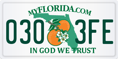FL license plate 0303FE