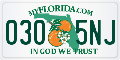 FL license plate 0305NJ