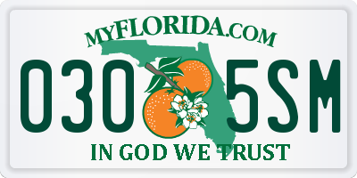 FL license plate 0305SM