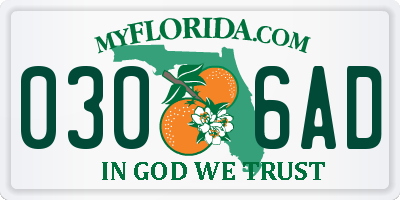 FL license plate 0306AD