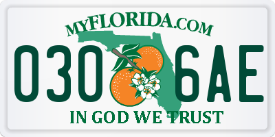 FL license plate 0306AE