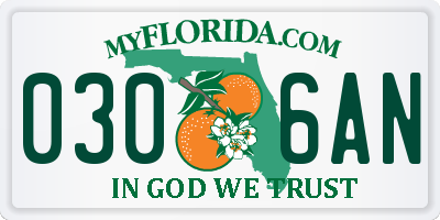 FL license plate 0306AN