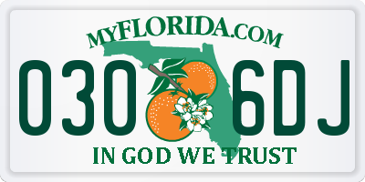 FL license plate 0306DJ