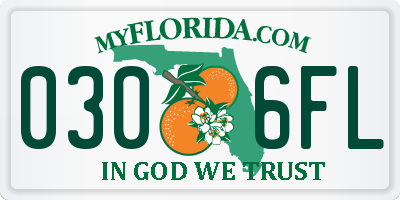 FL license plate 0306FL