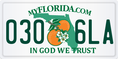 FL license plate 0306LA