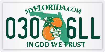 FL license plate 0306LL