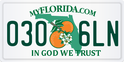 FL license plate 0306LN