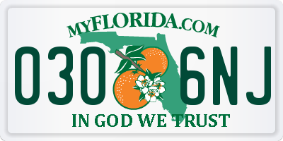 FL license plate 0306NJ