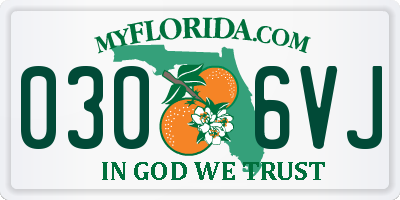 FL license plate 0306VJ