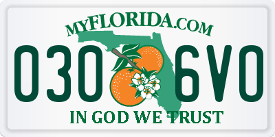 FL license plate 0306VO